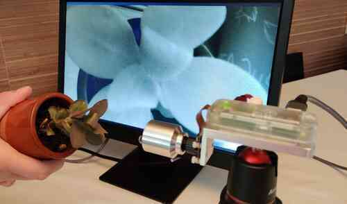 IMG_20220630_103204_crop DIY vein viewer used to observe IR reflection in live plants